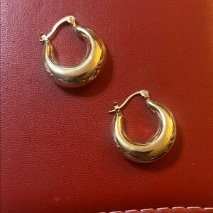 Elegant Gold Hoop Earrings